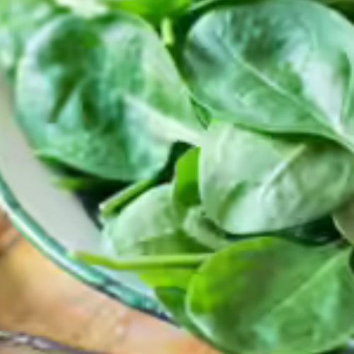 Top 5 Iron-Rich Foods for Women in Odisha